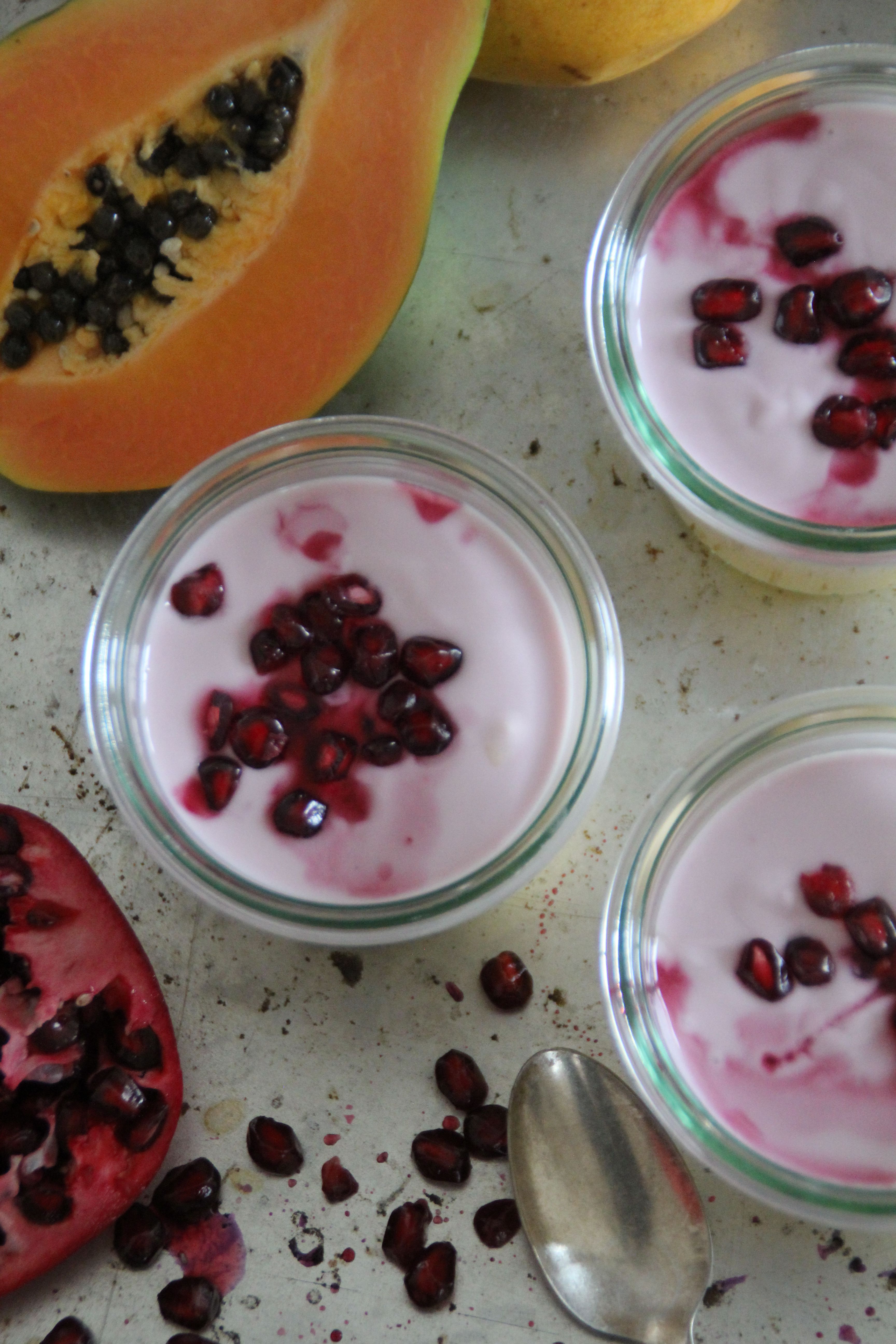 yoghurt & eksotiske frukter