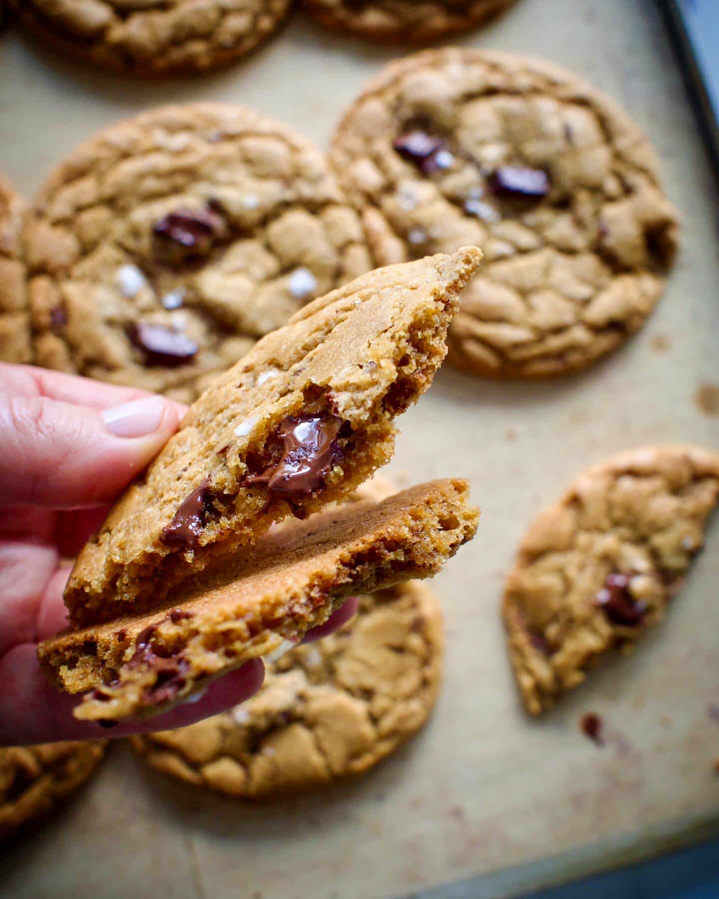 De aller beste chocolate chip cookies (sjokoladekjeks)